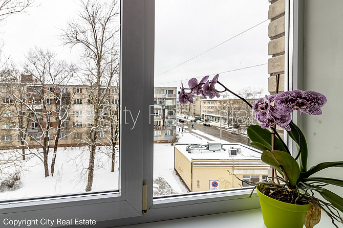 Pagalma ēka, labiekārtota apzaļumota teritorija, vieta automašīnai, balkons, logi vērsti Rīga - foto 18