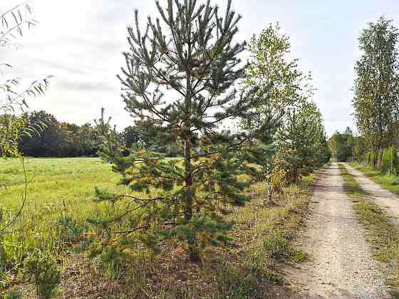 Pārdod apbūves zemes gabalu Valmierā  investīciju iespēja strauji augošā pilsētas rajonā!
Piedāvājum Valmiera un Valmieras novads
