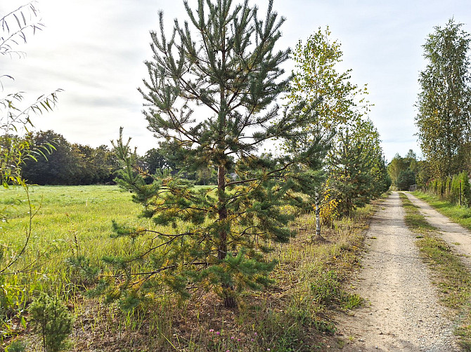 Pārdod apbūves zemes gabalu Valmierā  investīciju iespēja strauji augošā pilsētas rajonā! Valmiera un Valmieras novads - foto 5