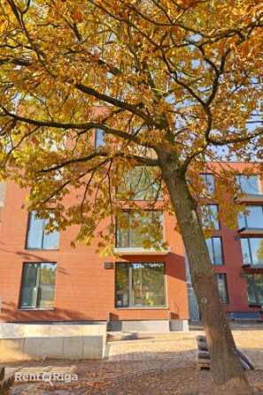 Jaunajā projektā Zelta Ozols ir pieejami 26 mūsdienīgi dzīvokļi, kuri ir piemēroti cilvēkiem, kas no Рига - изображение 8