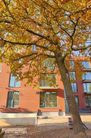 Jaunajā projektā Zelta Ozols ir pieejami 26 mūsdienīgi dzīvokļi, kuri ir piemēroti cilvēkiem, kas no Рига