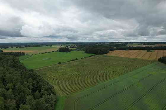 Labas konfigurācijas  zemes gabals Paipalas  7,9 ha platībā, ainaviskā, klusā vietā Krimuldas pagast Rīgas rajons