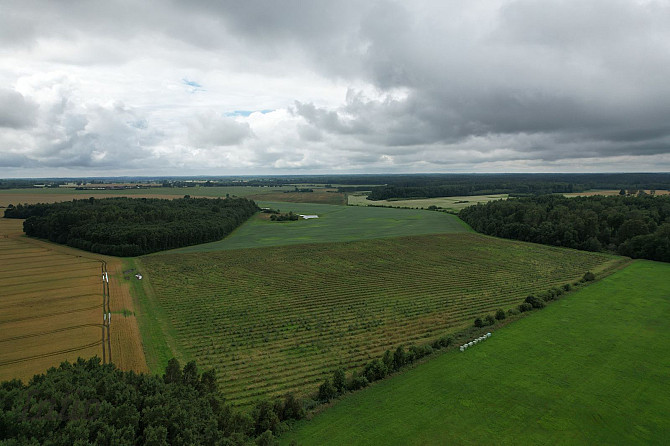 Labas konfigurācijas  zemes gabals Paipalas  7,9 ha platībā, ainaviskā, klusā vietā Krimuldas Rīgas rajons - foto 1