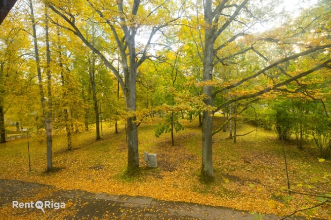Daudzfunkcionāla biroju ēka labā stāvoklī un ērtā atrašanās vietā.  Īpašums piedāvā Rīga - foto 12