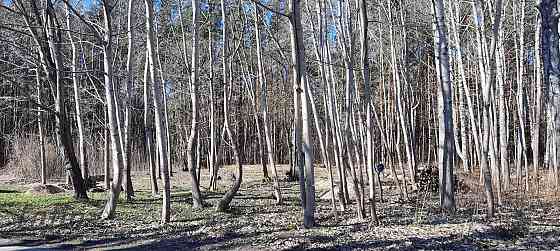Pārdod zemes gabalu Imantas Anniņmuižas parka teritorijā. Saskaņā ar Rīgas teritorijas plānojumu, ze Rīga