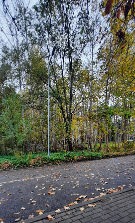 Pārdod zemes gabalu Imantas Anniņmuižas parka teritorijā. Saskaņā ar Rīgas teritorijas plānojumu, ze Рига - изображение 7