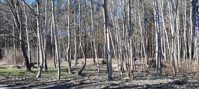 Pārdod zemes gabalu Imantas Anniņmuižas parka teritorijā. Saskaņā ar Rīgas teritorijas plānojumu, ze Рига - изображение 6