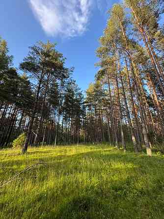 Tiek piedāvāta iespēja iegādāties zemes īpašumu ar apstiprinātu projektu nelielas ēkas būvniecībai.  Talsi un Talsu novads