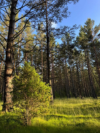 Tiek piedāvāta iespēja iegādāties zemes īpašumu ar apstiprinātu projektu nelielas ēkas Talsi un Talsu novads - foto 2