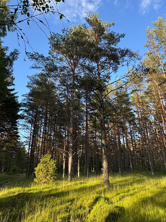 Tiek piedāvāta iespēja iegādāties zemes īpašumu ar apstiprinātu projektu nelielas ēkas Talsi un Talsu novads - foto 4