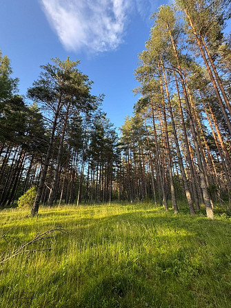 Tiek piedāvāta iespēja iegādāties zemes īpašumu ar apstiprinātu projektu nelielas ēkas Talsi un Talsu novads - foto 5