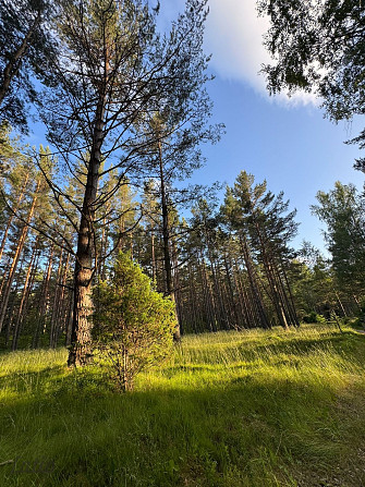 Tiek piedāvāta iespēja iegādāties zemes īpašumu ar apstiprinātu projektu nelielas ēkas Talsi un Talsu novads - foto 3