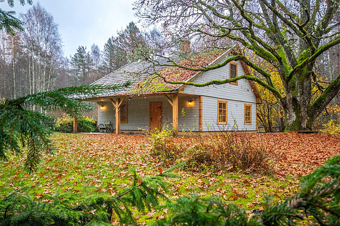 Tiek pārdots ekskluzīvs īpašums klusā jūras piekrastes teritorijā, 11 minūšu pastaigas attālumā no B Вентспилс и Вентспилсский край - изображение 1