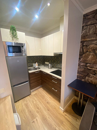 Fasādes māja, ieeja no pagalma, guļamistabu skaits 1 gab., studio tipa, virtuve apvienota ar Rīga - foto 7