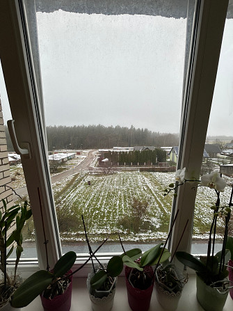 В связи с переездом продаю квартиру на 4 этаже, двойная входная дверь, комнаты не проходные, ... Daugavpils - foto 9