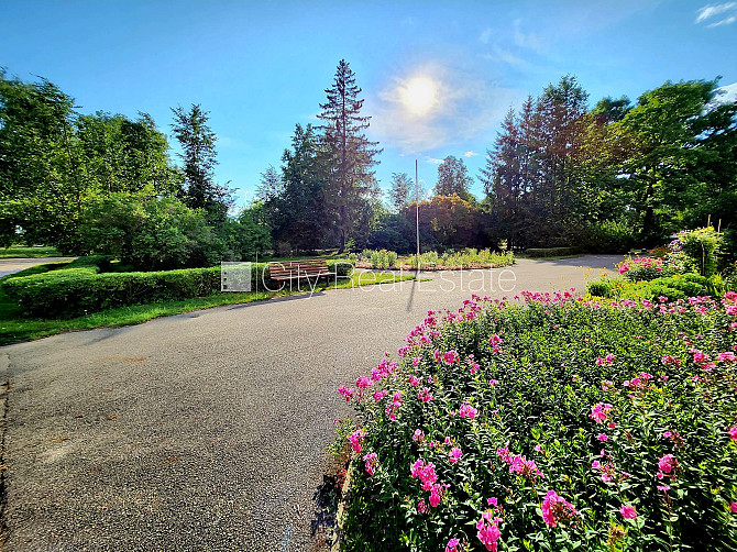 Labiekārtota apzaļumota teritorija, vieta vairākām automašīnām, teritorijas stāvlaukums Dobele un Dobeles novads - foto 7