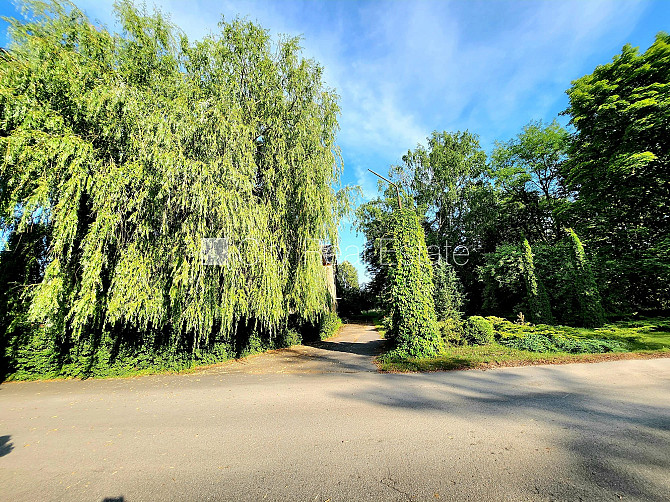 Labiekārtota apzaļumota teritorija, vieta vairākām automašīnām, teritorijas stāvlaukums Dobele un Dobeles novads - foto 15