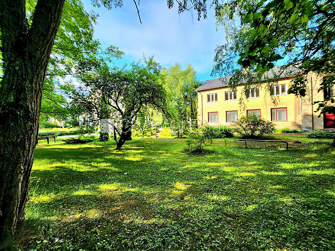 Labiekārtota apzaļumota teritorija, vieta vairākām automašīnām, teritorijas stāvlaukums Dobele un Dobeles novads - foto 5