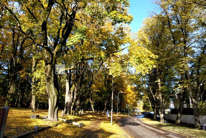 Jaunceltne, fasādes māja, labiekārtota apzaļumota teritorija, labiekārtots apzaļumots Rīga - foto 14