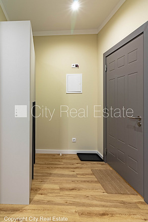 Фасадный дом, реновированный дом, благоустроенная озеленённая территория, вход с Рига - изображение 18