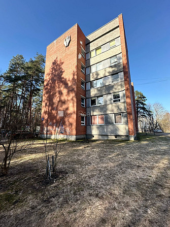 Дом во дворе, благоустроенная озеленённая территория, места для нескольких Рига - изображение 15