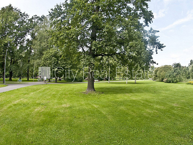 Zaļā teritorija, bezmaksas stāvvieta pagalmā, kāpņu telpa pēc kosmētiskā remonta, logi Rīga - foto 17