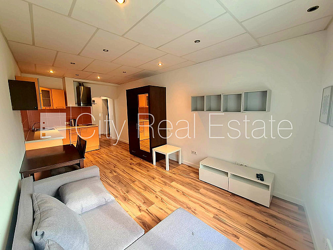 Фасадный дом, благоустроенная озеленённая территория, вход с улицы и со двора, Рижский район - изображение 4