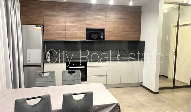 Благоустроенный озеленённый двор, закрытый двор, место для машины, терасса, Юрмала - изображение 3