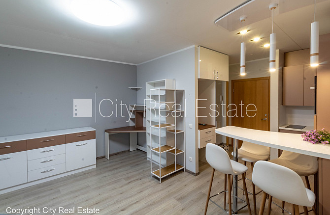 Jaunceltne, fasādes māja, labiekārtots apzaļumots pagalms, iežogota teritorija ar metāla Rīga - foto 9