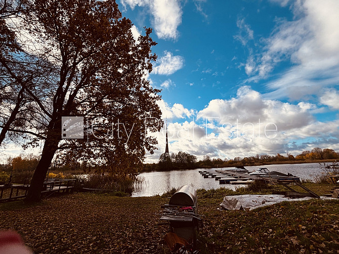 Частный дом, благоустроенный озеленённый двор, территория обнесена железным Рига - изображение 2