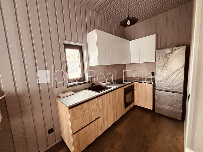 Частный дом, благоустроенный озеленённый двор, территория обнесена железным Рига - изображение 6