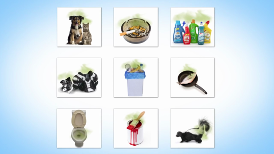 Ozonēšana ir – Nevēlamu un nepatīkamu smaku likvidēšana un telpu pilnīga dezinfekcija. Rīgā, ... Рига