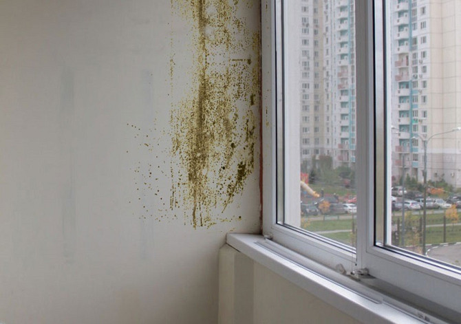 Nevēlamu un nepatīkamu smaku likvidēšana un telpu pilnīga dezinfekcija.
Rīgā, Rīgas reģionā,... Rīga - foto 3