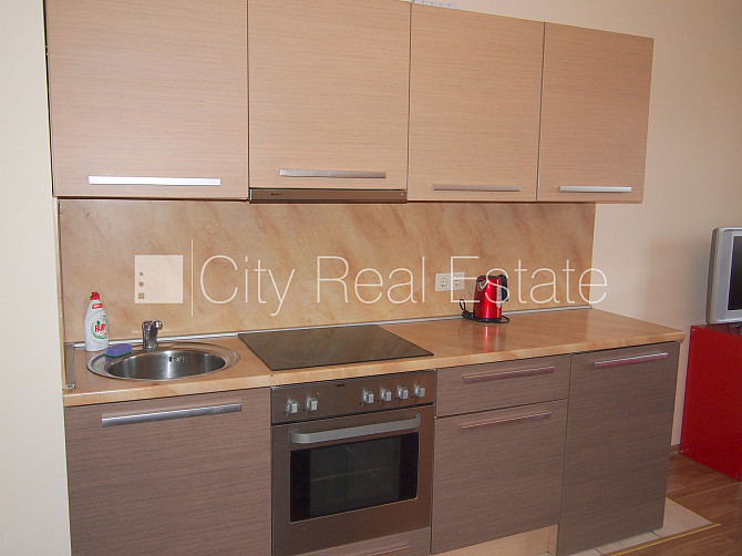 Фасадный дом, реновированный дом, благоустроенная озеленённая территория, вход с Рига - изображение 7