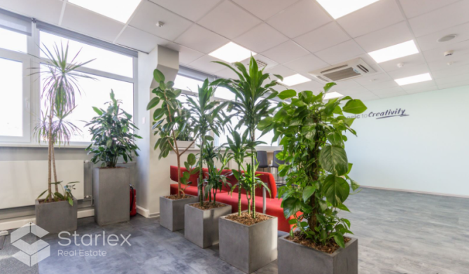 Atvērtā plānojuma birojs ar profesionālai IT kompānijai veidotām sakaru komunikācijām. Rīga - foto 6