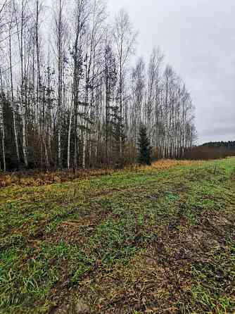 Pārdod divus, blakus esošus zemes īpašumus, to kopējā platība ir 12.49 ha, Lēdurgas pagastā, Sigulda Лимбажи и Лимбажский край