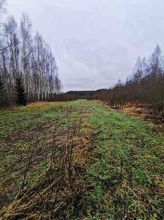 Pārdod divus, blakus esošus zemes īpašumus, to kopējā platība ir 12.49 ha, Lēdurgas pagastā, Sigulda Лимбажи и Лимбажский край