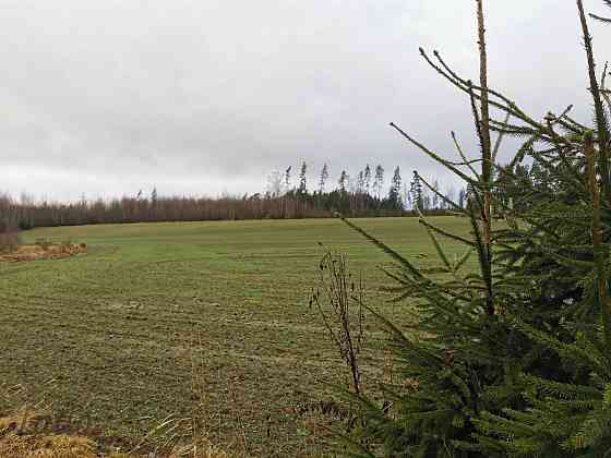 Pārdod divus, blakus esošus zemes īpašumus, to kopējā platība ir 12.49 ha, Lēdurgas pagastā, Sigulda Limbaži un Limbažu novads