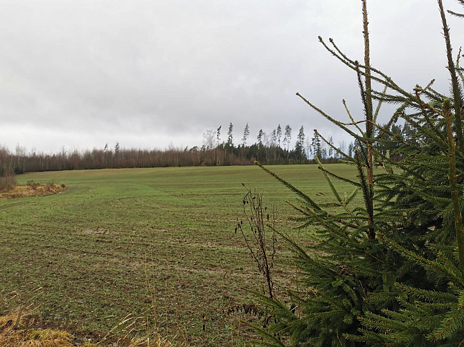 Pārdod divus, blakus esošus zemes īpašumus, to kopējā platība ir 12.49 ha, Lēdurgas pagastā, Sigulda Лимбажи и Лимбажский край - изображение 1