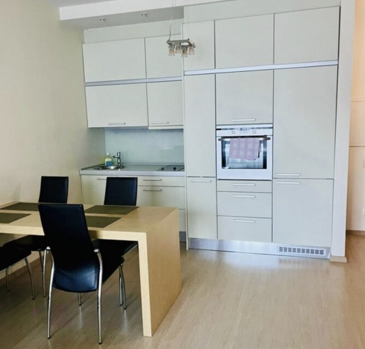 Izīrē 2 istabu dzīvokli projektā Centra Nams  Dzīvoklis atrodas prestižā un klusā vietā Rīga - foto 3