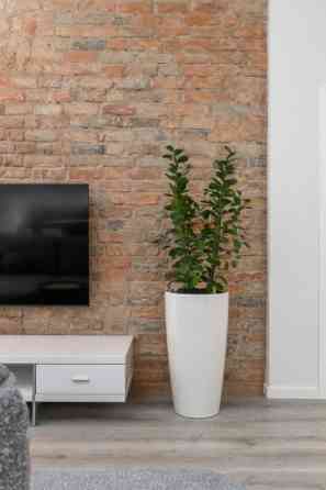 Здаютса в аренду 2-комнатная квартира с изысканным дизайном интерьера в тихом Rīga