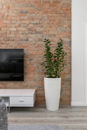 Klusajā centrā tiek izīrēts 2-istabu dzīvoklis ar izsmalcinātu interjera dizainu, dzīvoklis Rīga - foto 4