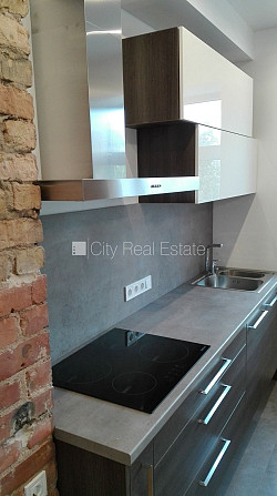 Фасадный дом, благоустроенная озеленённая территория, закрытый двор, территория Рига - изображение 15