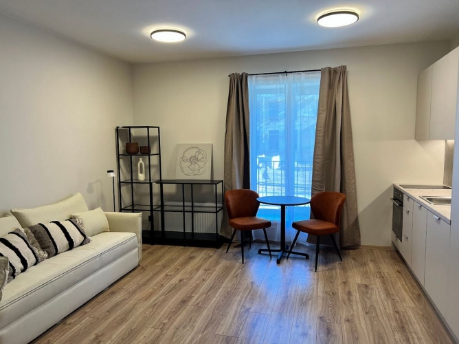 Ilgtermiņa īrei pieejams studio tipa dzīvoklis.  Pārdomāts dzīvokļa plānojums, kas sastāv no koridor Рига - изображение 1