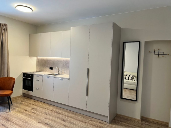 Ilgtermiņa īrei pieejams studio tipa dzīvoklis.  Pārdomāts dzīvokļa plānojums, kas sastāv no koridor Рига - изображение 4