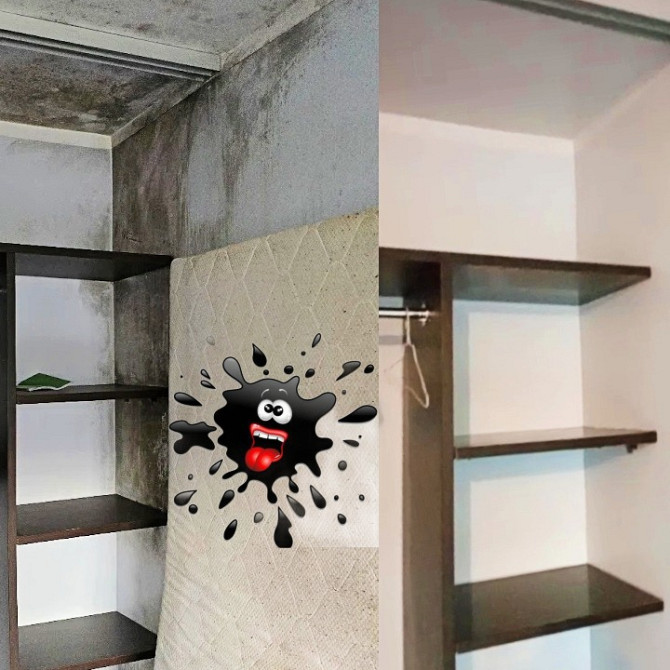 Удаление плесени в Риге, Юрмале и по всей Латвии.
Плесень удаляем (2 в 1) Профессиональной... Rīga - foto 7