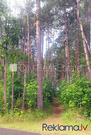 Renovēta māja, labiekārtota apzaļumota teritorija, vieta automašīnai, kāpņu telpa pēc Rīga - foto 2