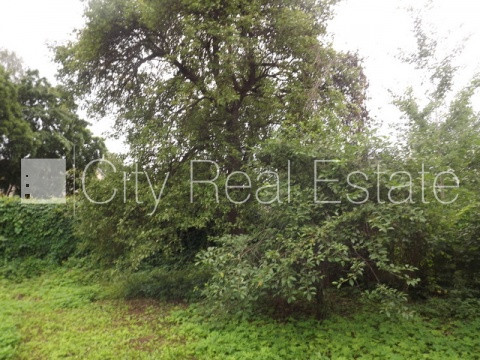 Fasādes māja, labiekārtots apzaļumots pagalms, slēgts pagalms, iežogota teritorija ar koka Rīga - foto 18