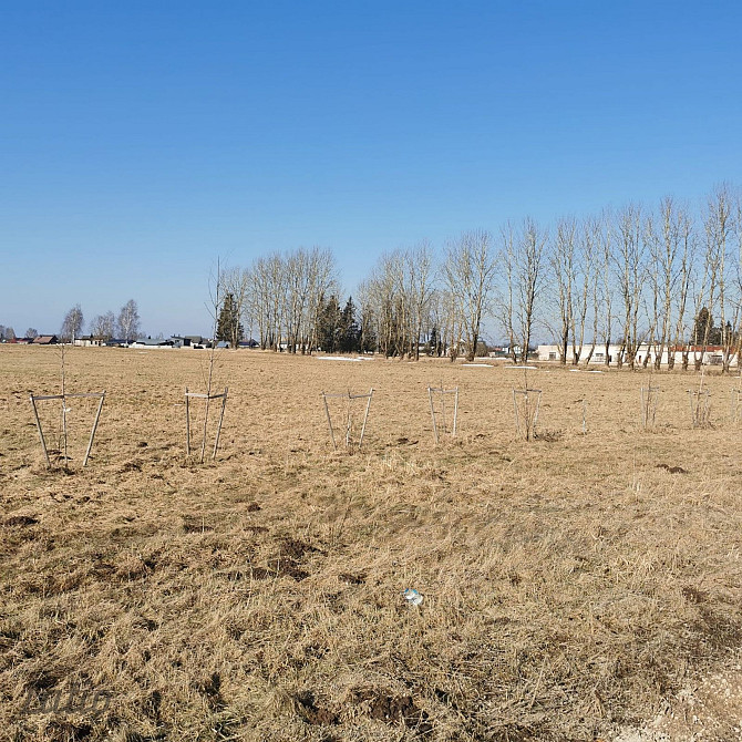 Tiek pārdots perspektīvs zemes īpašums Siguldas pilsētas teritorijā ar platību 5,67 ha, kas Sigulda - foto 6