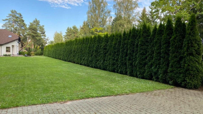 Сдается в аренду светлый, уютный, благоустроенный дом в Дубултосе с камином. Дом Юрмала - изображение 6